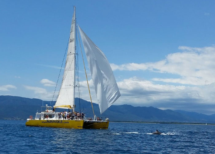 700x500 navivoile 1.jpg